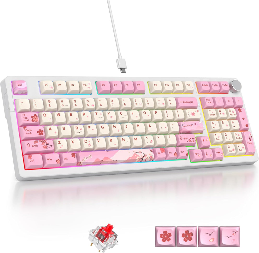 SOLIDEE Verkabelte 95% Mechanische Gaming-Tastatur,Hot-Swap-Fähige Mechanische Tastaturs,Gasket Stru
