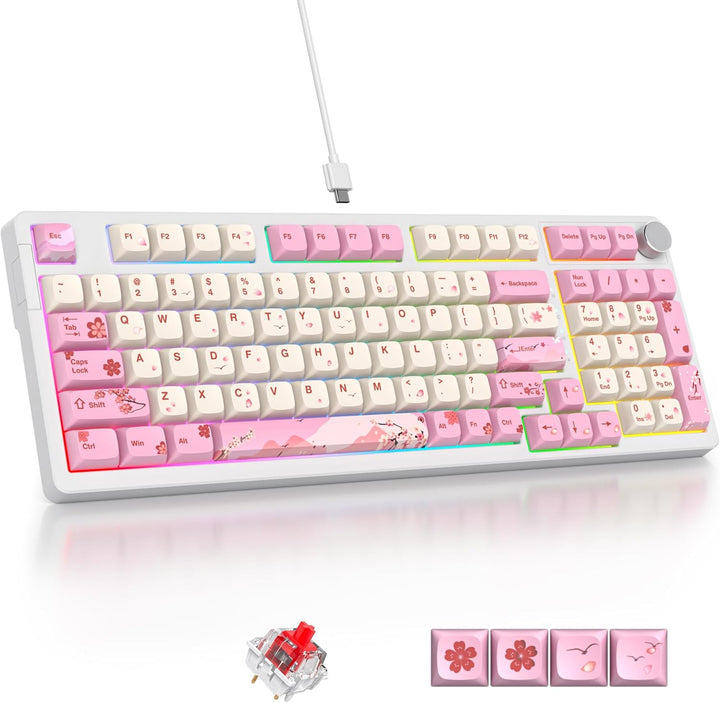 SOLIDEE Verkabelte 95% Mechanische Gaming-Tastatur,Hot-Swap-Fähige Mechanische Tastaturs,Gasket Stru