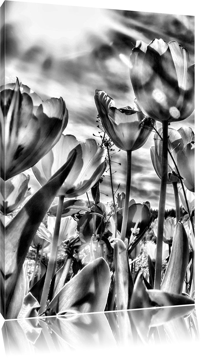 Pixxprint Blumenwiese / 100x70cm Leinwandbild bespannt auf Holzrahmen/Wandbild Kunstdruck Dekoration