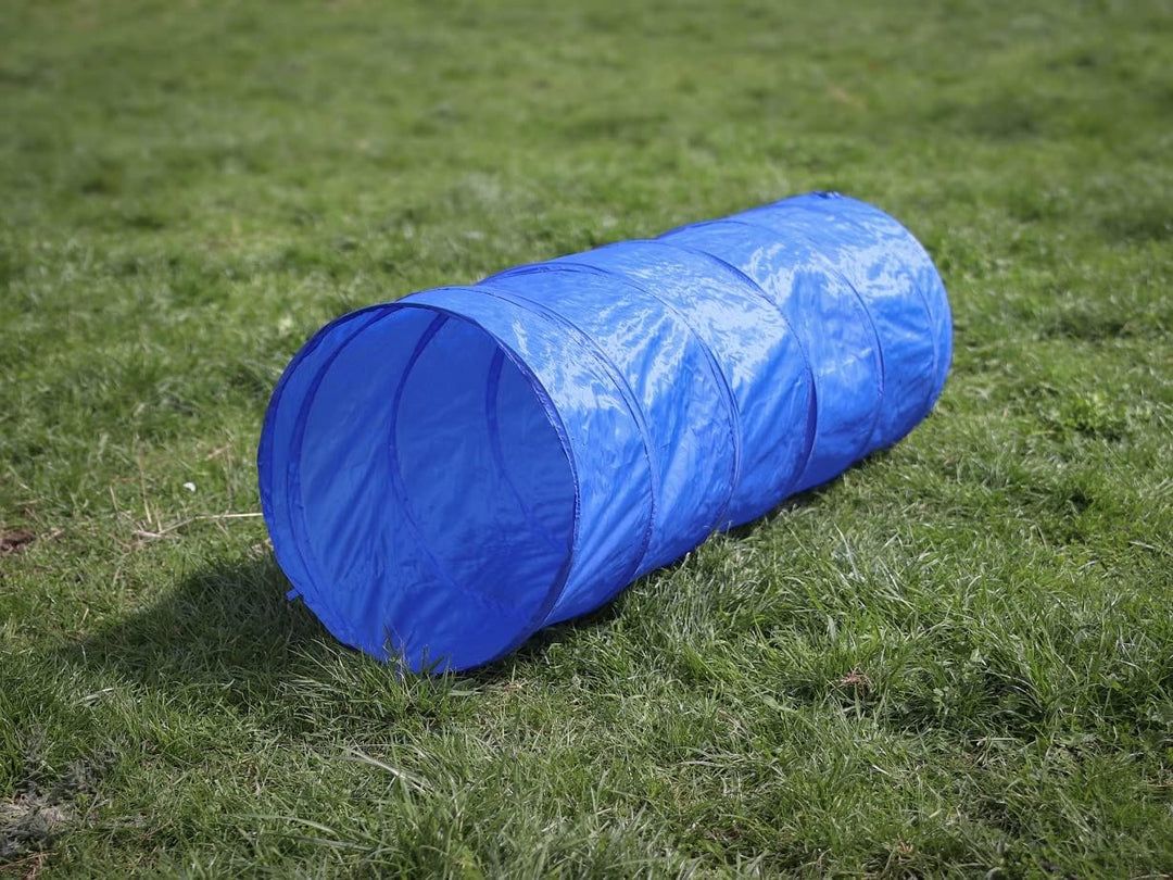 Lemodo Agility Set für kleine und mittlere Hunde | Hundetraining mit Agility Hürde, Hundetunnel und