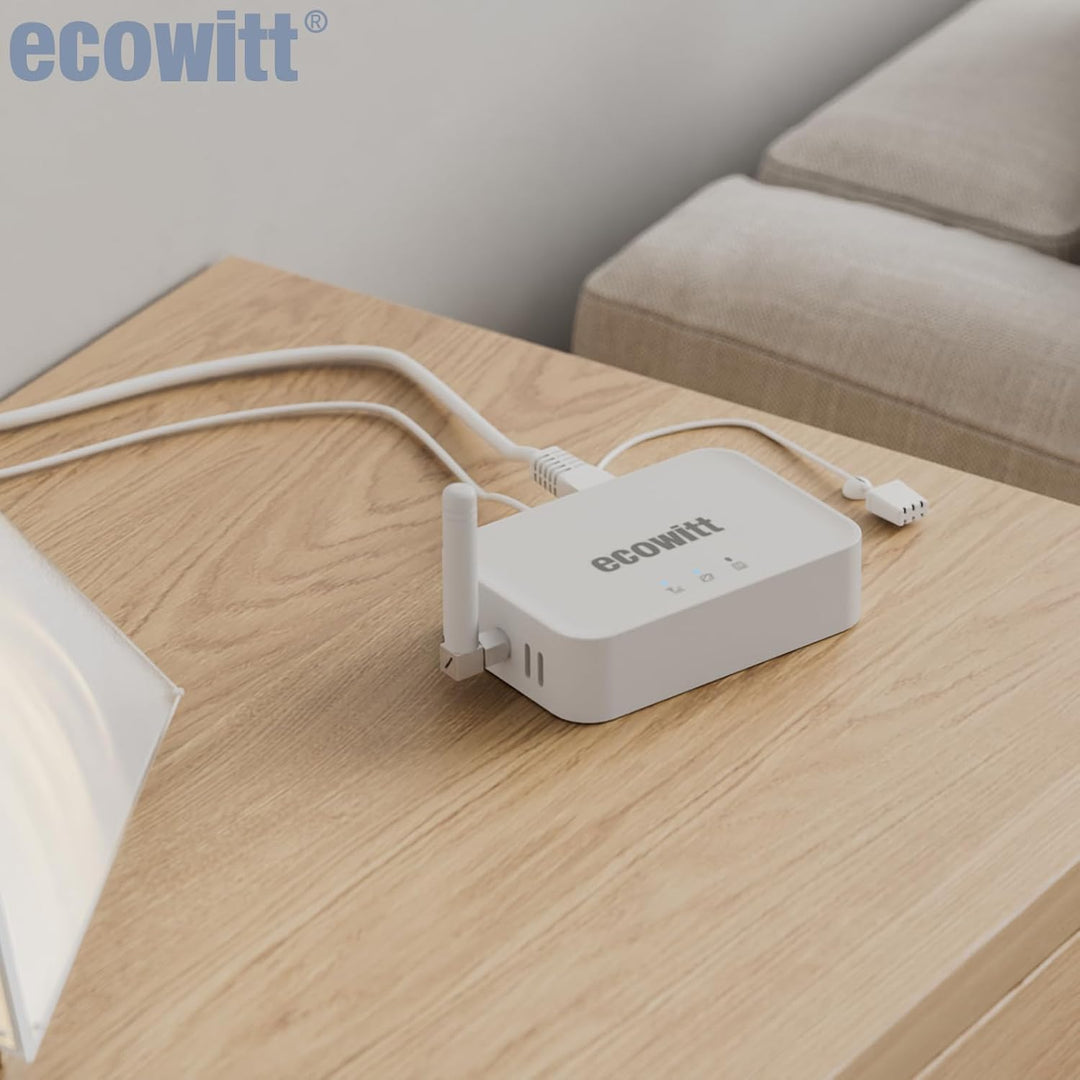 ECOWITT Bodenfeuchtesensor WH51+ Gateway GW3000 mit integrierten 3-in-1-Sensoren, Bodenfeuchtemessge