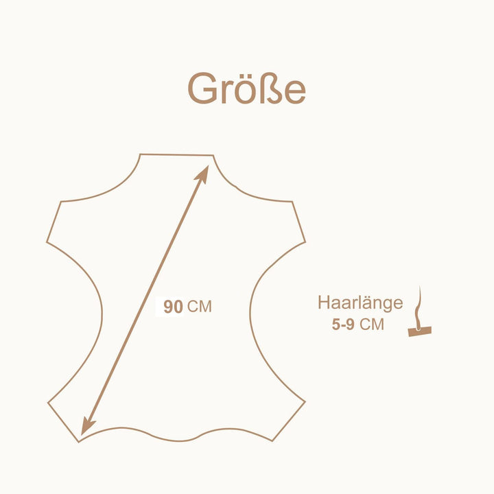 MYLUNE HOME Lammfell Teppich Schaffell echt 90x 60cm schafsfelle weiche und Flauschige Decke beige S
