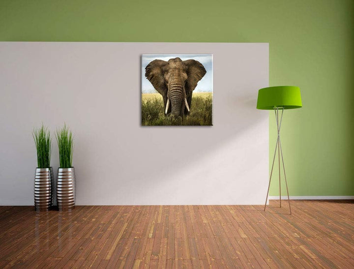 Imposanter Elefant, Format: 70x70 auf Leinwand, XXL riesige Bilder fertig gerahmt mit Keilrahmen, Ku