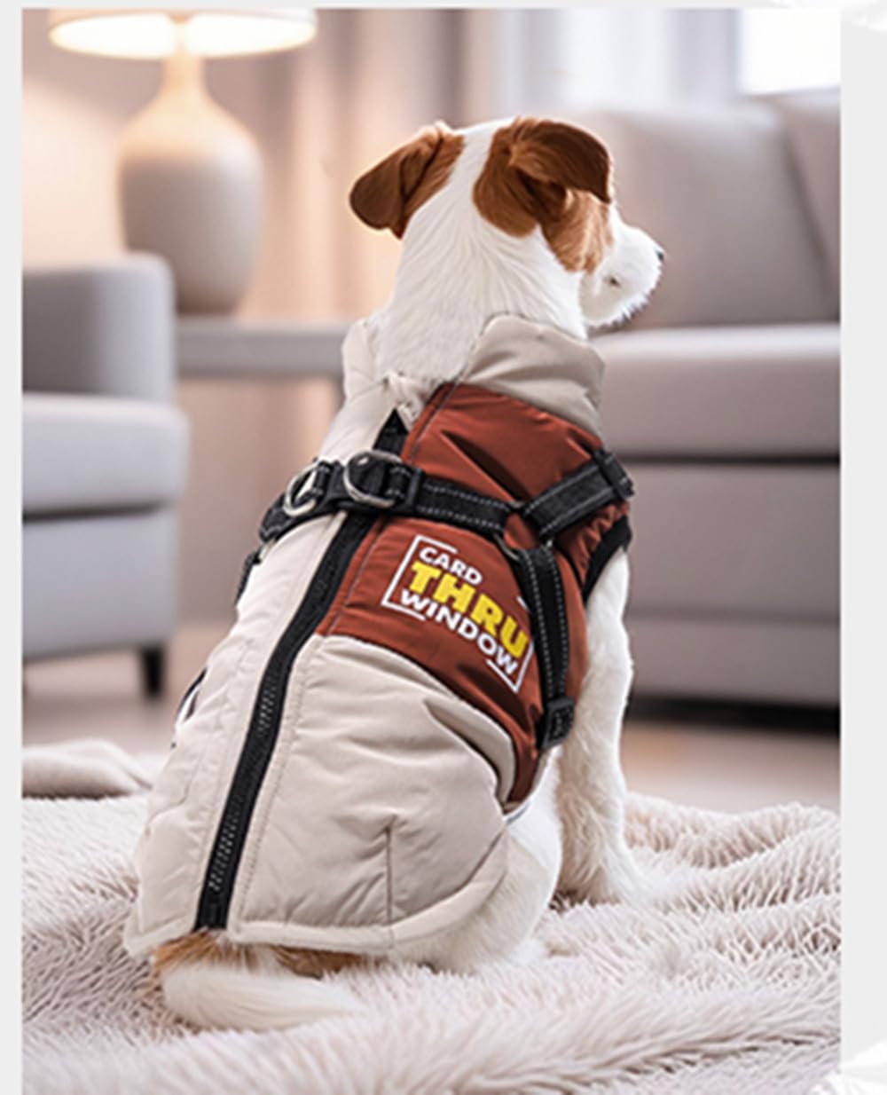 Hundemantel Winter Hundejacke Haustier Skifahren Kostüm Wasserdicht &amp; Winddicht,Ärmellose Baumwolle