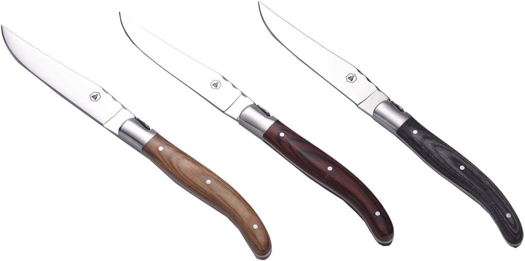 LAGUIOLE - Box 6 Steakmesser - Pakka Holzgriff 3 Farben sortiert - Edelstahl - Karton-Geschenkbox mi