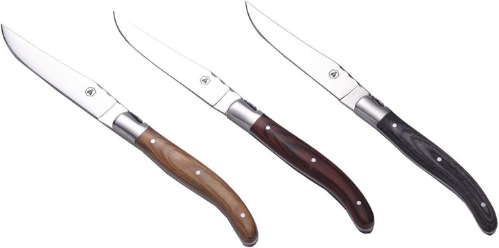 LAGUIOLE - Box 6 Steakmesser - Pakka Holzgriff 3 Farben sortiert - Edelstahl - Karton-Geschenkbox mi