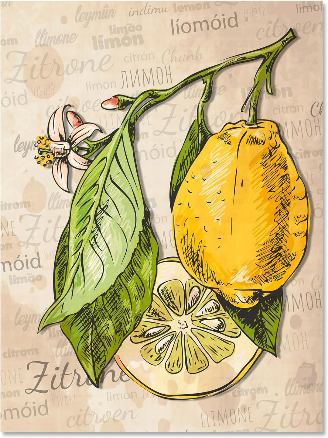 wandmotiv24 Obst & Gemüse als Leinwandbild, 60x45cm, Hochformat, Zitrone, Zeichnung, Küche, Lebensmi