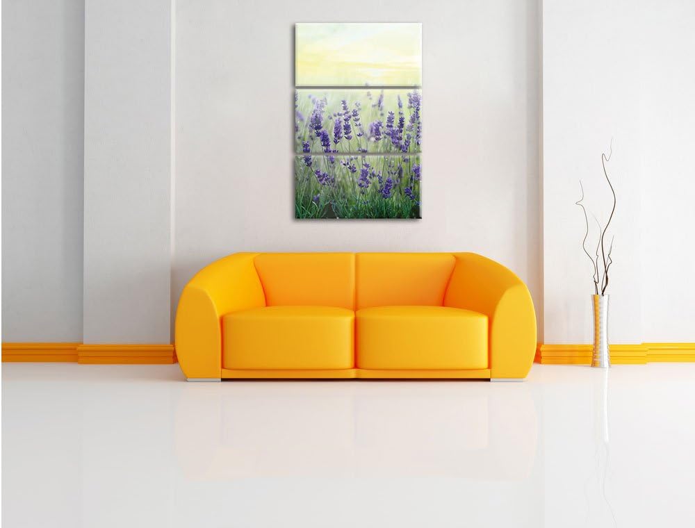 Pixxprint Kleiner Bonsaibaum als Leinwandbild/Grösse: 3 Teilig (120x80) / Wandbild/Kunstdruck/fertig