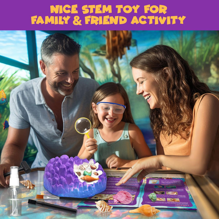 Ocean Fossil Dig Kit, Graben Sie mehr als 20 echte Muscheln und Schnecken aus, lustiges wissenschaft