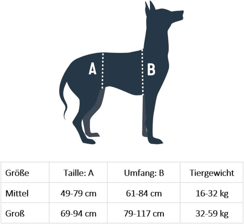 PetSafe CareLift Hebegeschirr für Hunde, Ganzkörperhebehilfe mit Griff und Schultergurt, Brust- und