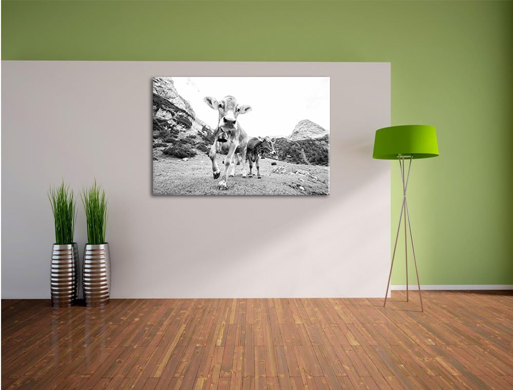 Pixxprint Almkuh auf der Weide Kunst B&W als Leinwandbild/Grösse: 100x70 / Wandbild/Kunstdruck/ferti