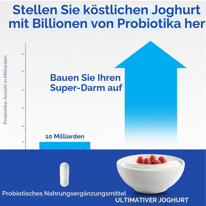 2-Liter-Joghurtmaschine mit automatischer Zeit- und Temperaturregelung, griechischer Joghurtbereiter