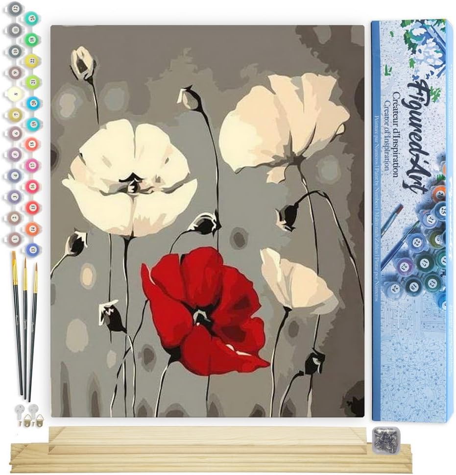 Figured'Art Malen Nach Zahlen Erwachsene Mit Rahmen Rote und weisse Blumen - Paint by Numbers Bastel
