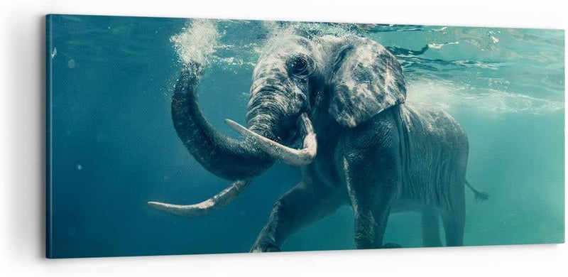 Panorama Bilder auf Leinwand 100x40cm Leinwandbild Elefant Tier Wasser Gross Wanddeko Bild Schlafzim