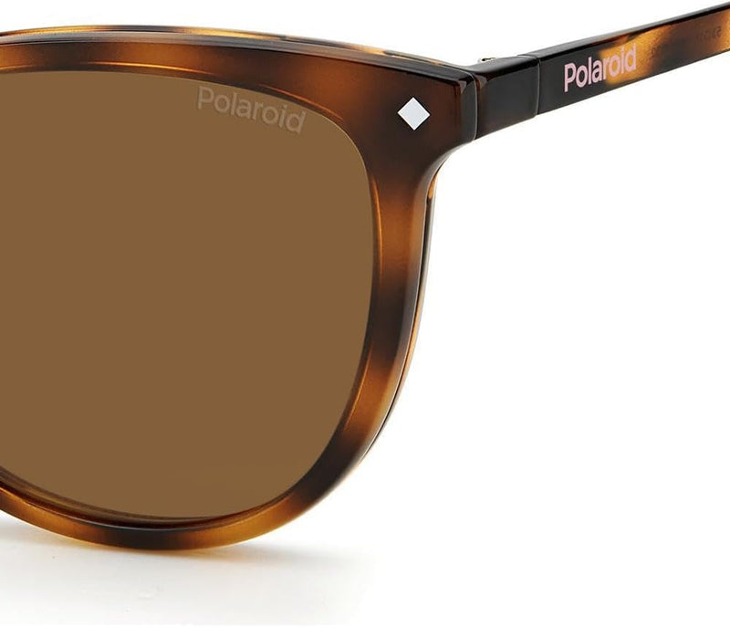 Polaroid Unisex PLD 6138/Cs 086/Sp Havana 53 Sunglasses