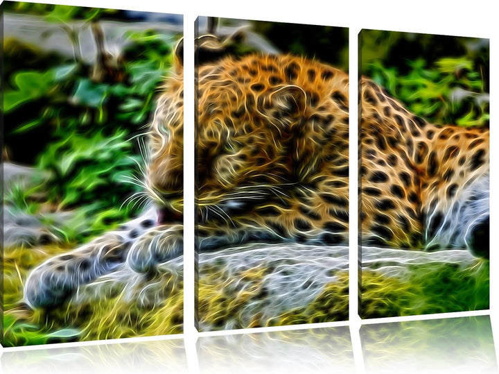prächtiger Leopard beim Putzen Spezial 3-Teiler Leinwandbild 120x80 Bild auf Leinwand, XXL riesige B
