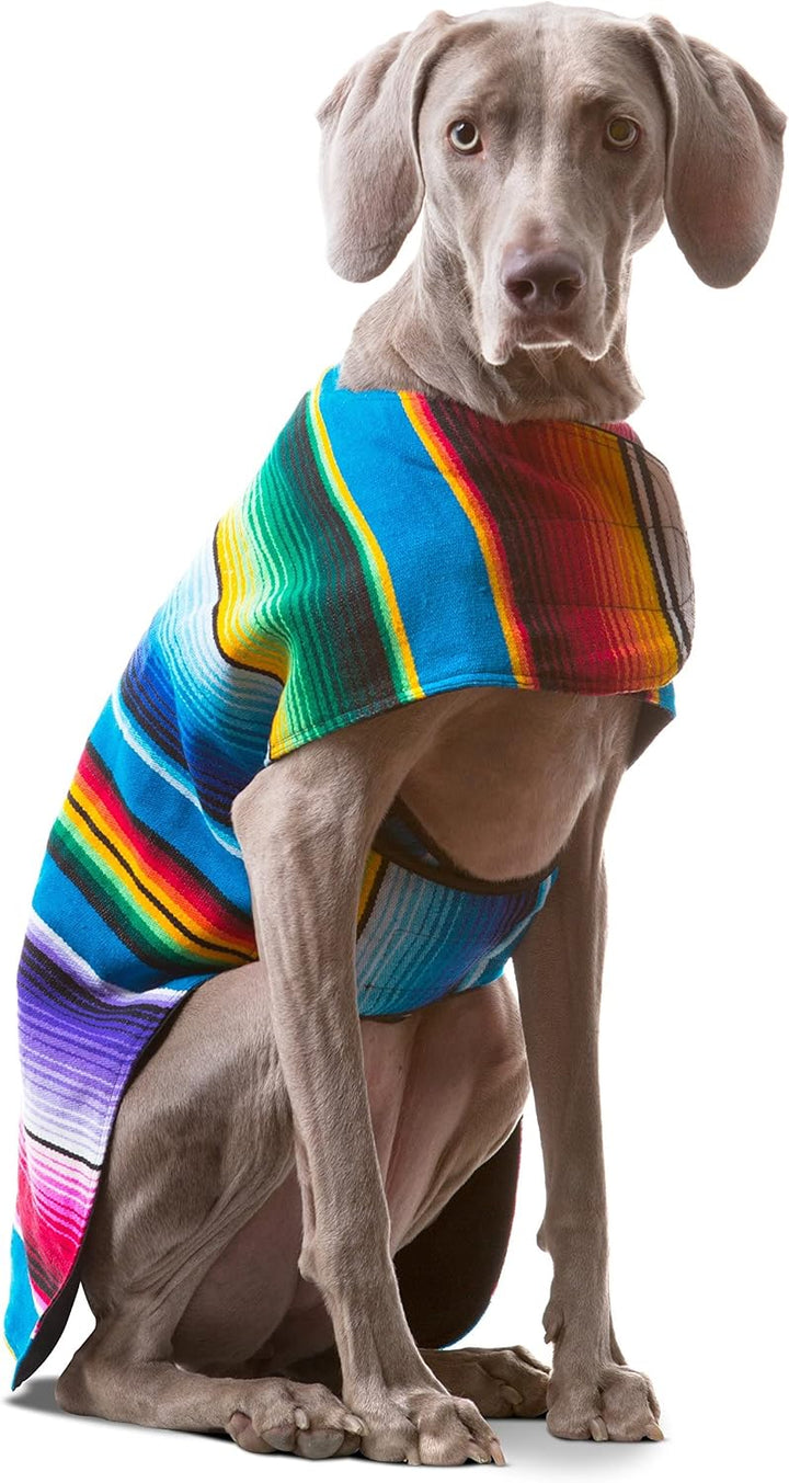 Hundebekleidung, handgefertigter Hundeponcho aus authentischer mexikanischer Decke, Blau, Grösse XXS