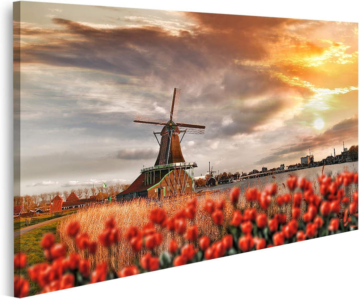 islandburner Bild auf Leinwand Traditionelle Holländische Windmühlen Mit Roten Tulpen In Zaanse Scha