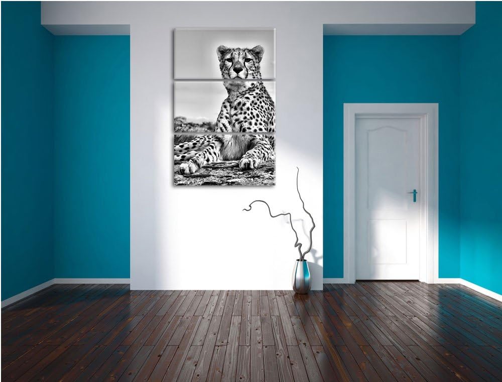 Pixxprint Monocrome, Gepard in Savanne 3-Teiler Leinwandbild 120x80 Bild auf Leinwand