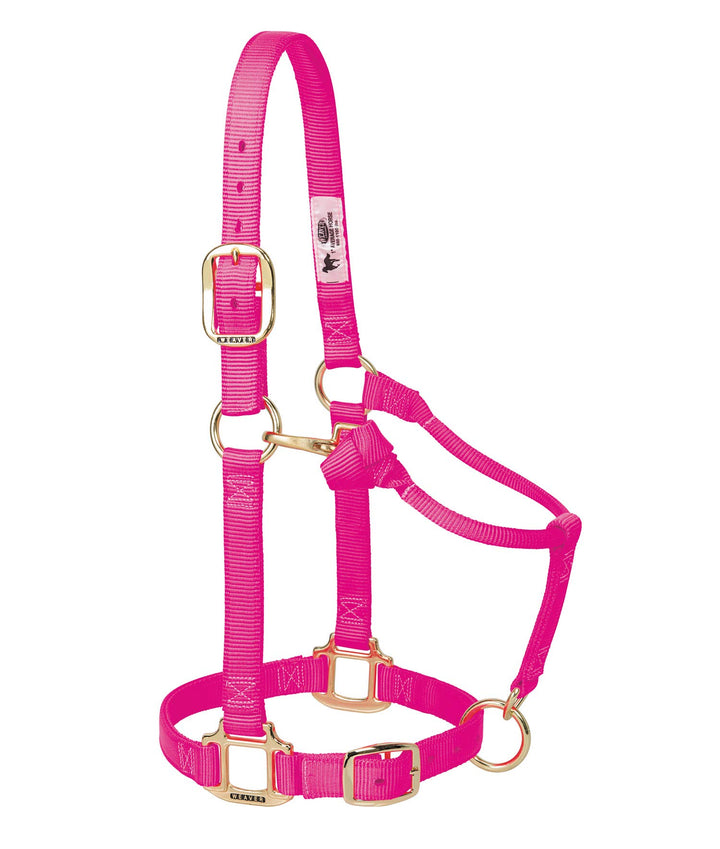 Weaver Leather Original verstellbares Nylonhalfter für Pferde Average Mini Diva Pink, Average Mini D