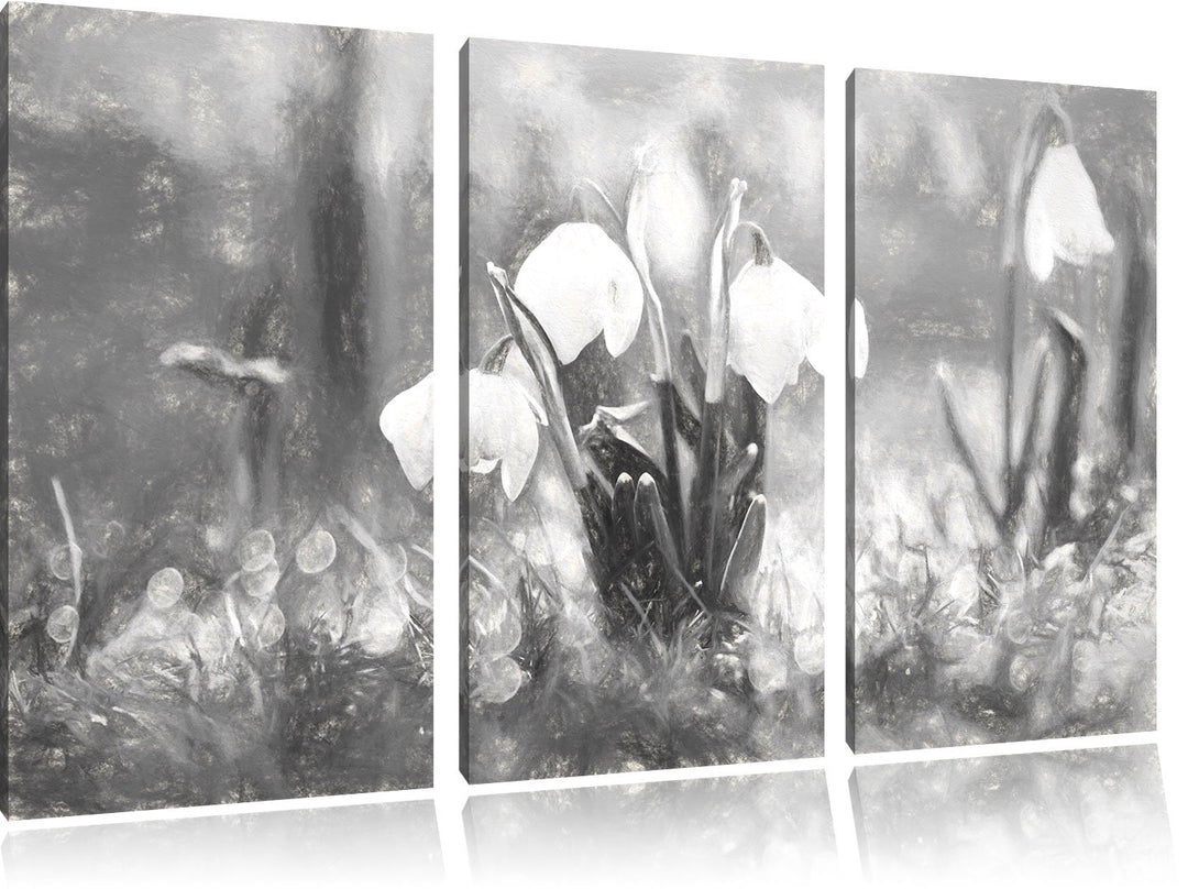 Pixxprint Schneeglöckchen als Leinwandbild/Grösse: 3 Teilig (120x80) cm/Wandbild/Kunstdruck/fertig b