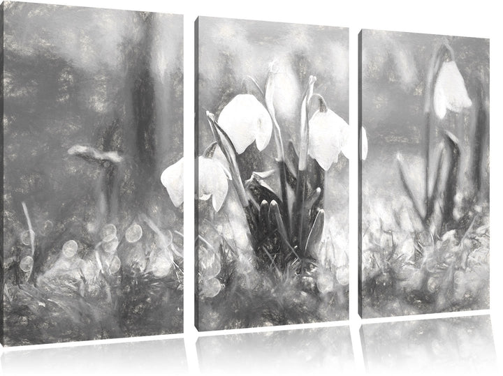 Pixxprint Schneeglöckchen als Leinwandbild/Grösse: 3 Teilig (120x80) cm/Wandbild/Kunstdruck/fertig b