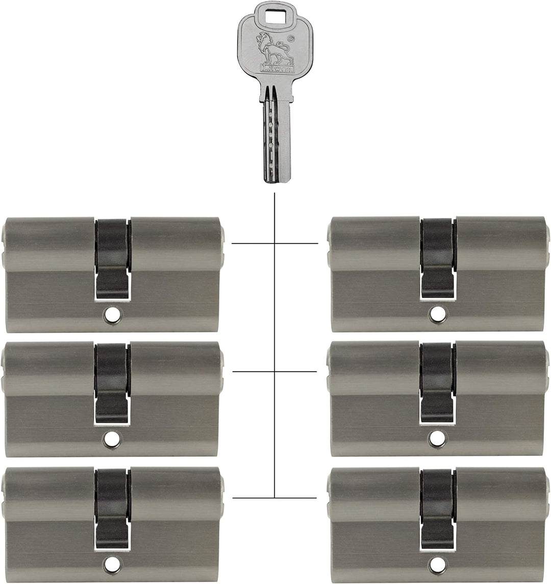 6x Profilzylinder 60mm 30/30 30x Schlüssel Tür Zylinder Schloss gleichschliessend