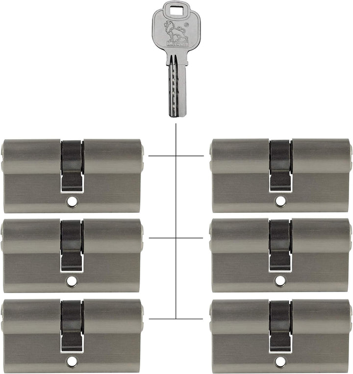 6x Profilzylinder 60mm 30/30 30x Schlüssel Tür Zylinder Schloss gleichschliessend