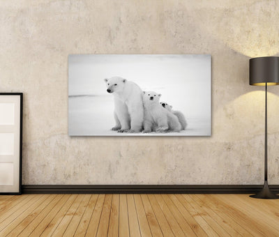 islandburner Bild Bilder auf Leinwand Eisbären Familie Poster, Leinwandbild, Wandbilder 100x57 1-tei