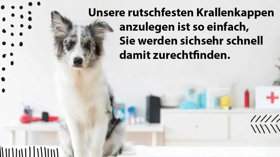 Dr. McHenrys Krallenkappen für Hunde 24er Set mit Kleber und Reinigungsbürste, mehr Halt und Stabili