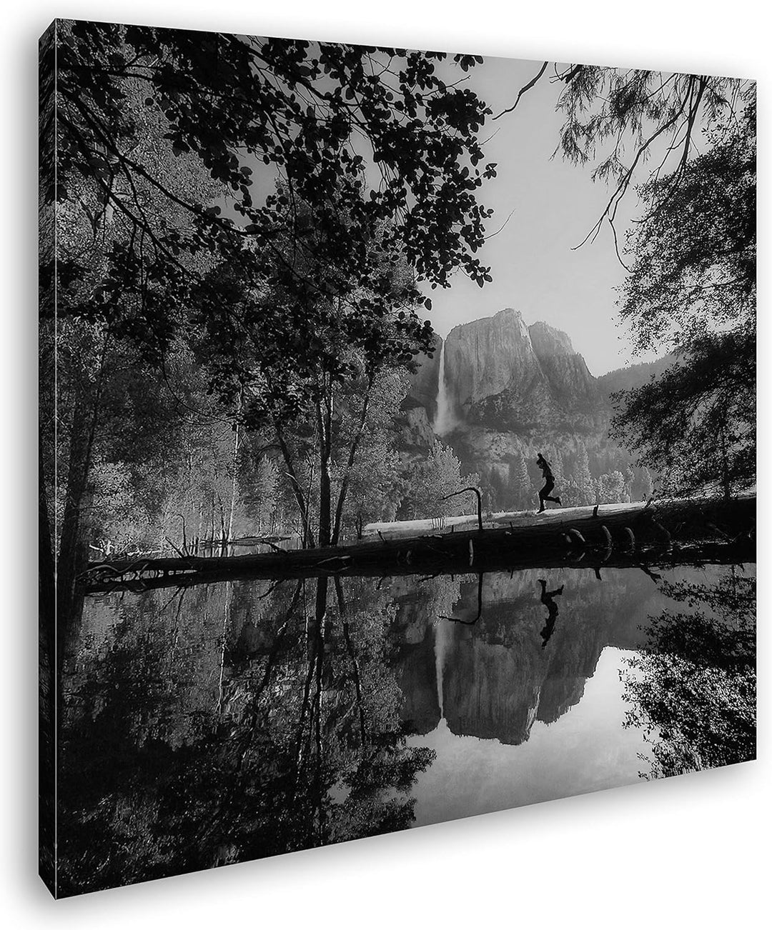 deyoli National Park in Kalifornien Format: 60x60 Effekt: Schwarz&Weiss als Leinwandbild, Motiv fert