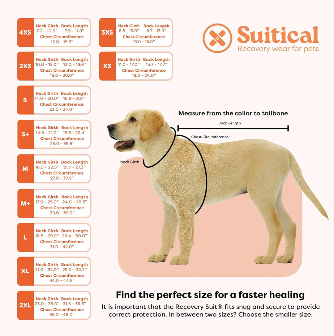 Suitical Recovery Suit Hund, M+, Schwarz