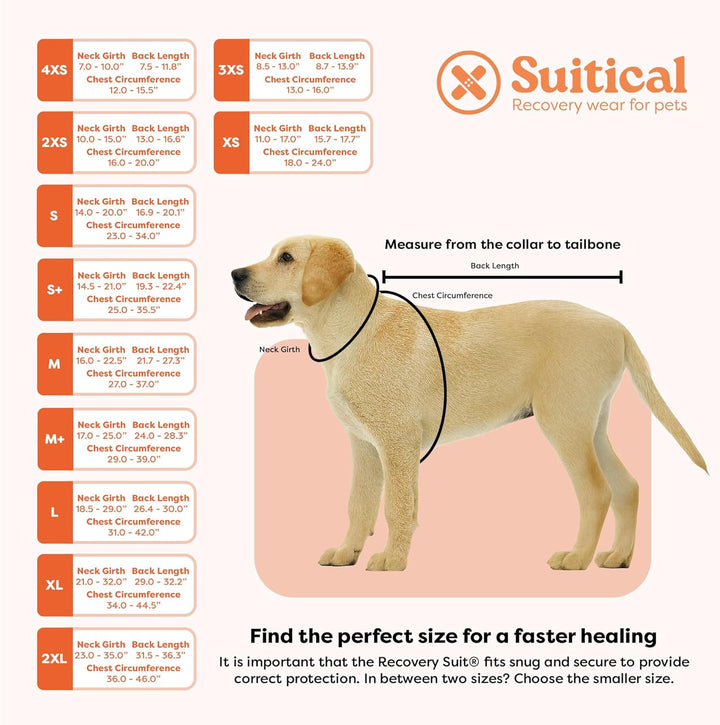 Suitical Recovery Suit Hund, M+, Schwarz
