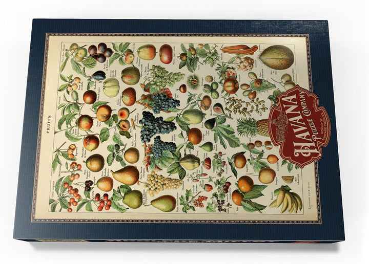 Fructus - Früchte für alle, Vintage Art Poster, Adolphe Millot - Premium 1000 Teile Puzzle - MyPuzzl