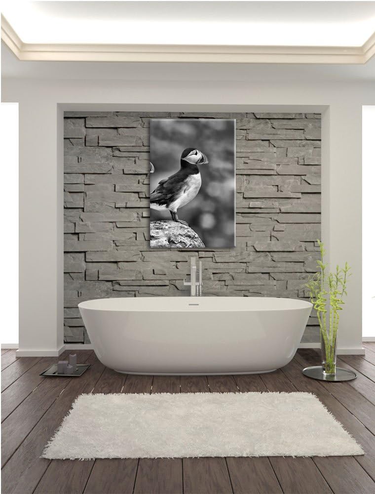 Pixxprint Papageitaucher Familie auf Felsen als Leinwandbild/Grösse: 100x70 / Wandbild/Kunstdruck/fe
