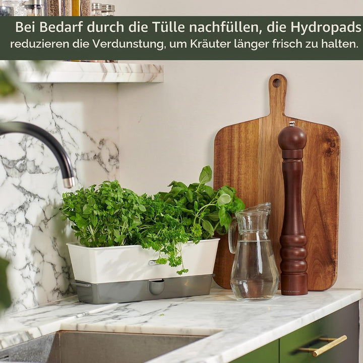Cole &amp; Mason H105349 Burwell 3-Fach Kräutertopf Selbstbewässernd, Kräutertopf Balkon/Kräutergarten f