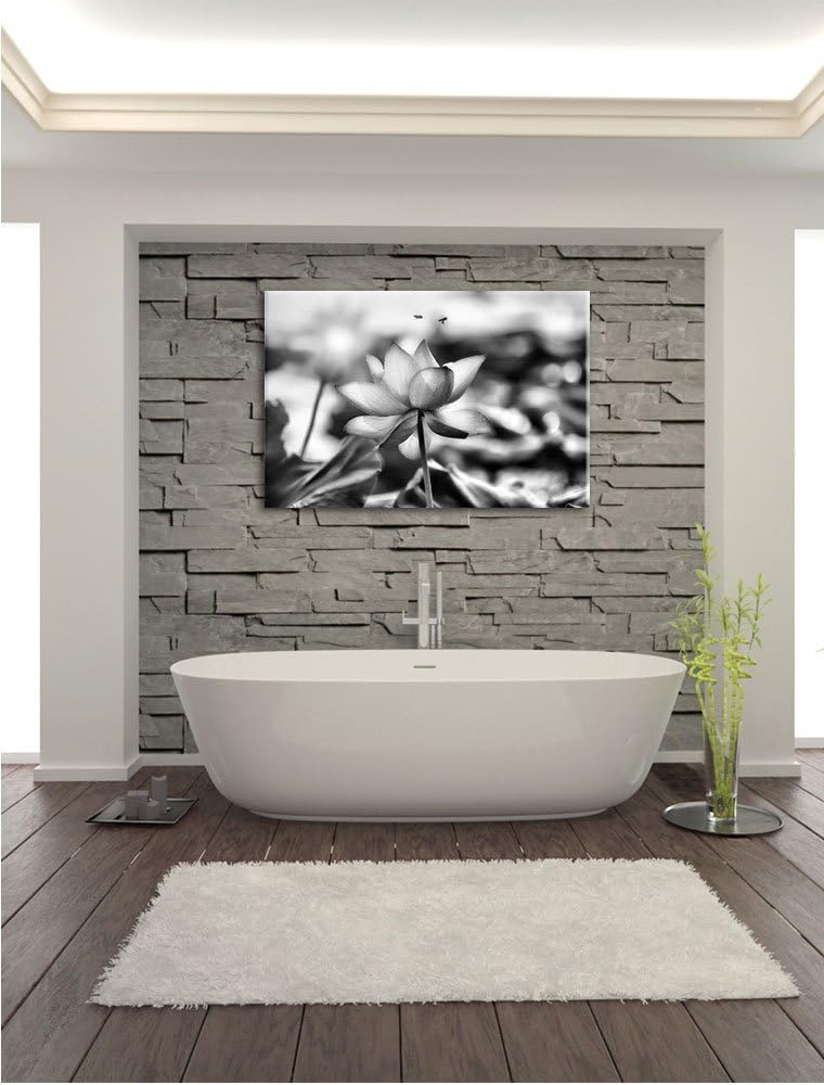 Pixxprint Lotus im Abendlicht / 100x70cm Leinwandbild bespannt auf Holzrahmen/Wandbild Kunstdruck De