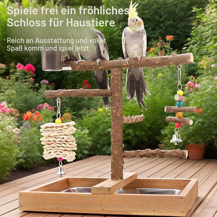 Vogelspielplatz Wellensittich Spielplatz Spielzeug, Grosser Vogel Spielplatz mit Sitzstangen Hängesp