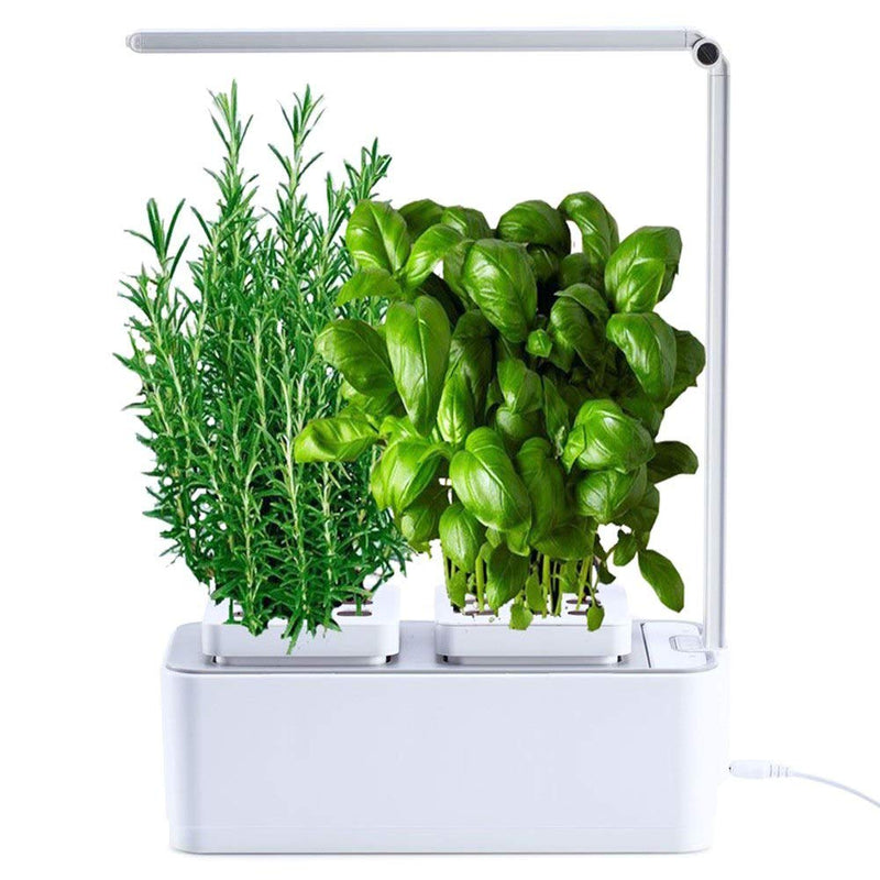 amzWOW Clizia Smart Garden - hydroponische anzuchtsysteme mit led pflanzenlampe - Automatisches Time