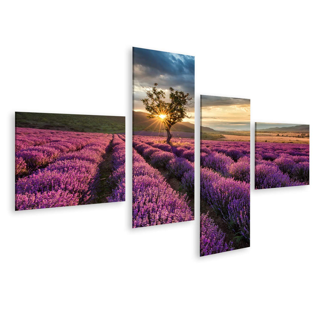 islandburner, Bild auf Leinwand Atemberaubende Landschaft mit Lavendelfeld bei Sonnenaufgang Wandbil