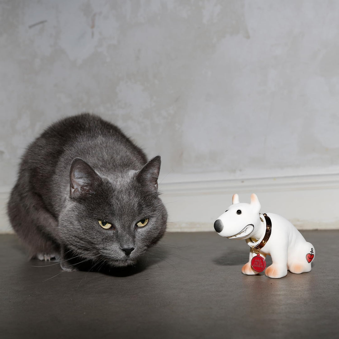 ASTRA Wackel-Bulli, witzige Bullterrier Figur mit Wackel-Kopf, Kleiner Pitbull als Geschenkidee für