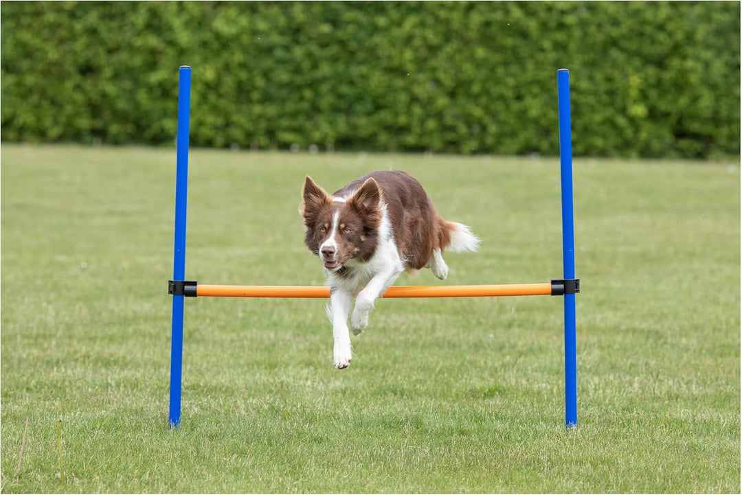 Trixie 3207 Dog Activity Agility Hürde, 123 × 115 × ø 3 cm, blau/orange