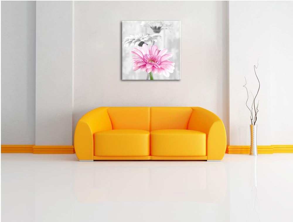 Pixxprint schöne Gerberas bei Tageslicht schwarz/weiss, Format: 70x70 auf Leinwand, 70x70