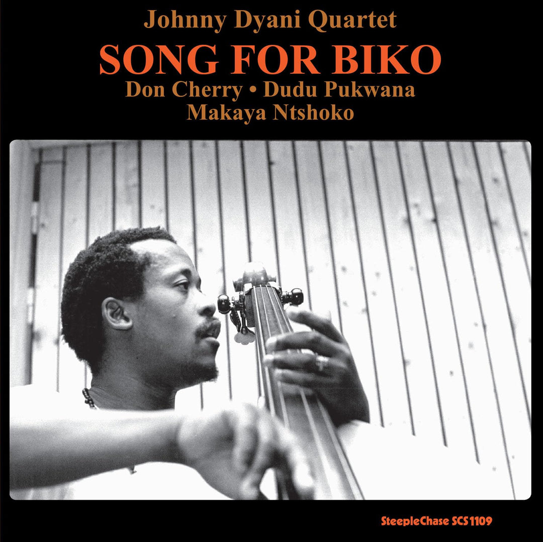 Song for Biko, Vinyl