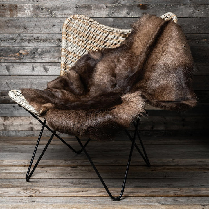 Rentierfell original aus Skandinavien, Premium Qualität, dunkel, XL 140-145 cm XL (140-145 cm), XL (