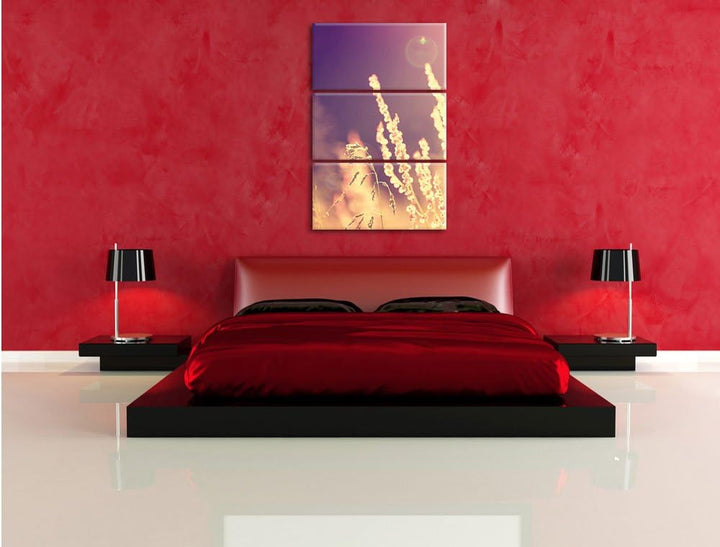 Pixxprint Gräser im Sonnenuntergang als Leinwandbild/Grösse: 3 Teilig (120x80) cm/Wandbild/Kunstdruc
