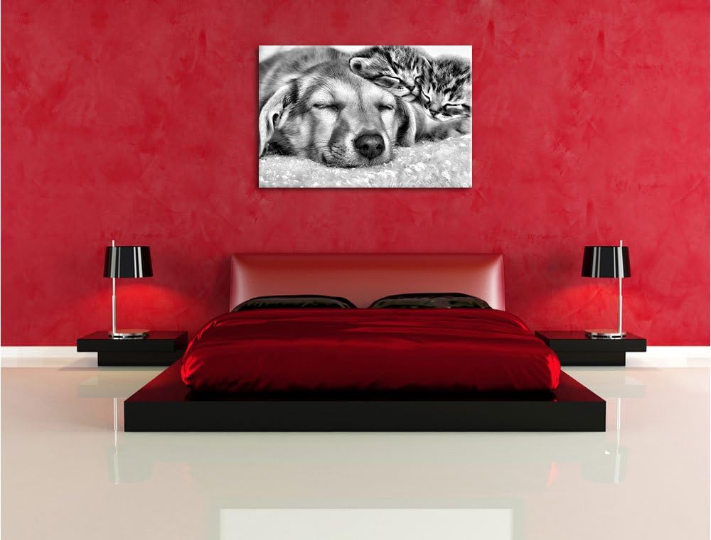 Pixxprint Monocrome, Kätzchen und Hund schmusend, Format: 100x70 auf Leinwand, riesige Bilder fertig