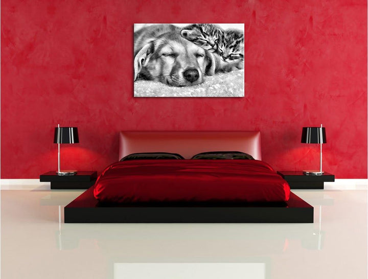 Pixxprint Monocrome, Kätzchen und Hund schmusend, Format: 100x70 auf Leinwand, riesige Bilder fertig