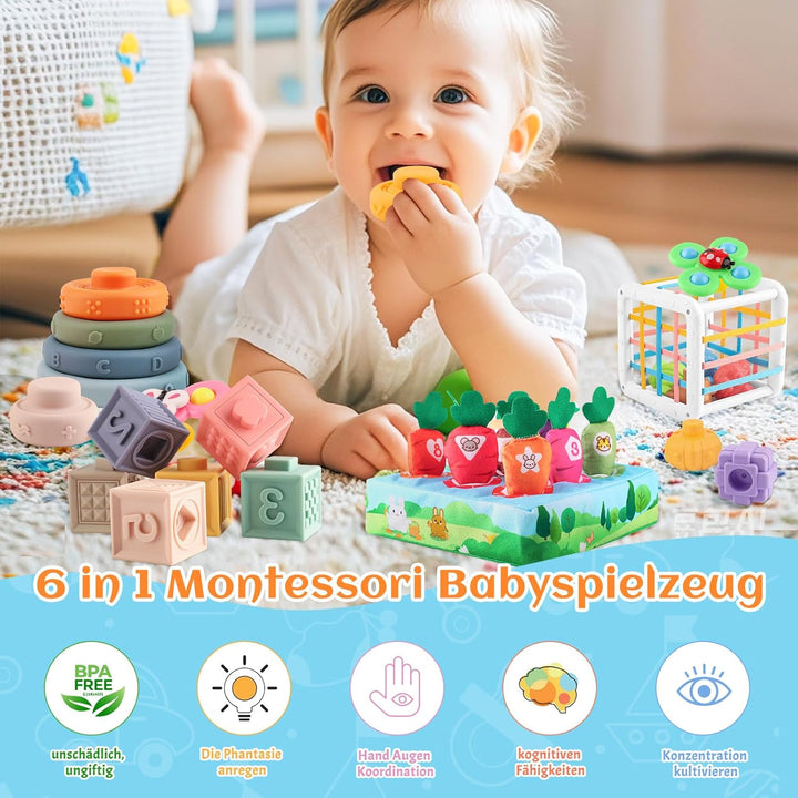 6 in 1 Montessori Spielzeug Baby, Spielzeug Baby ab 6 bis 12 Monate, Sensorisches Baby Spielzeug, Mo