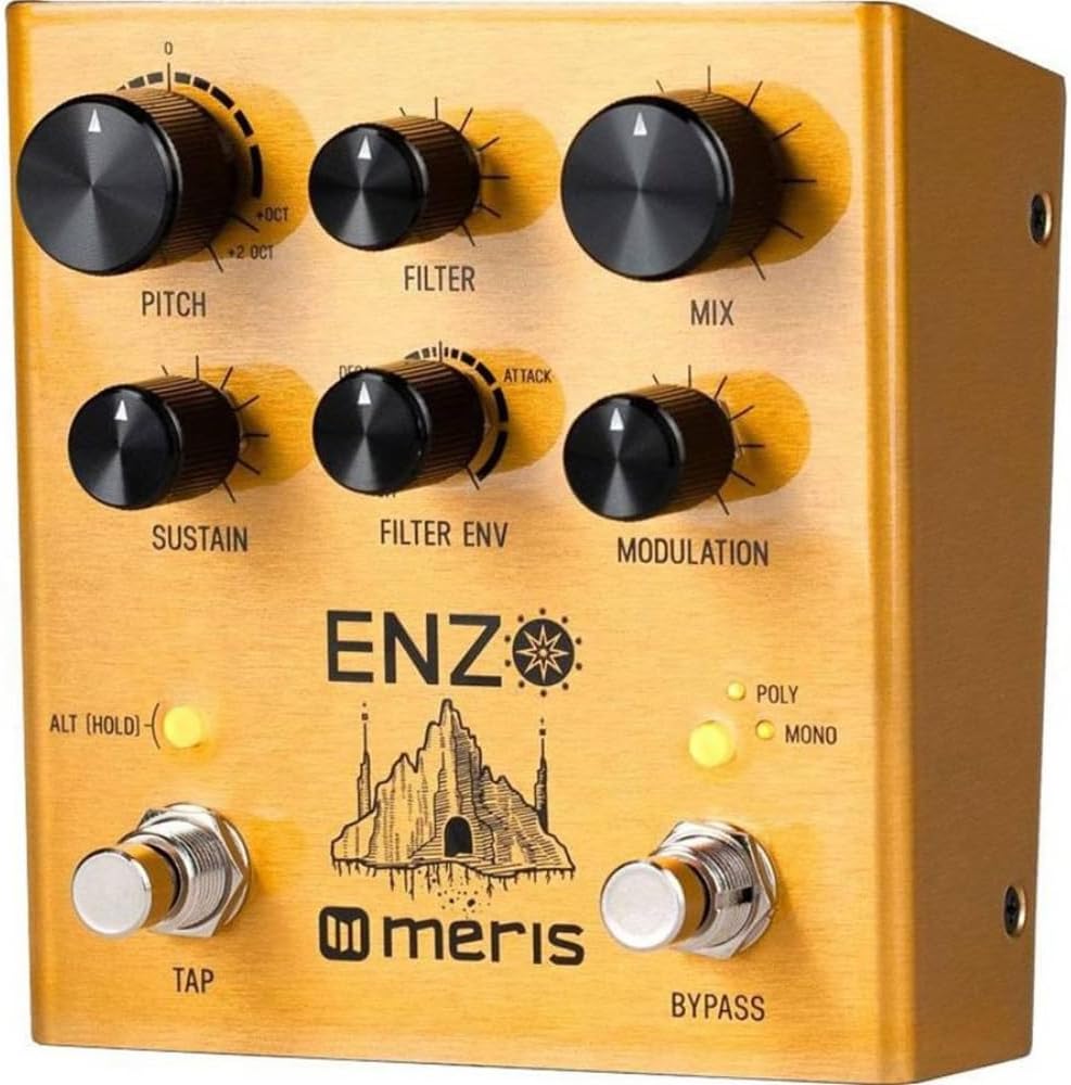 Meris Enzo